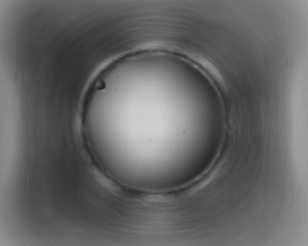 X0000114420880200910231204