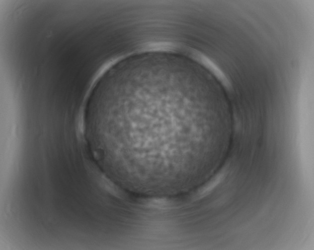 X0000114420883200910231204