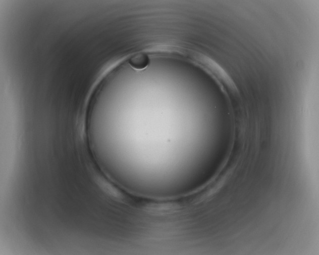 X0000114420884200910231204
