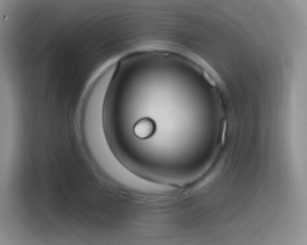 X0000114420885200910231204