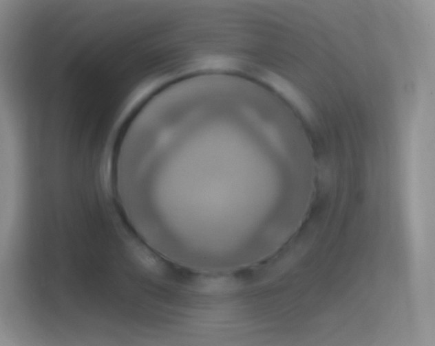 X0000114420886200910231204