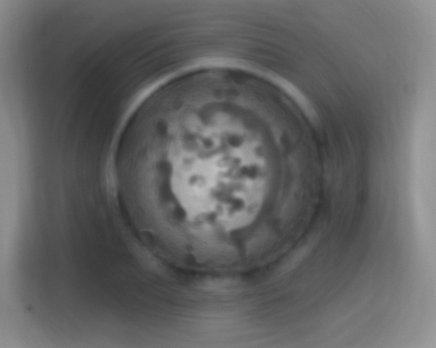 X0000114420887200910231204