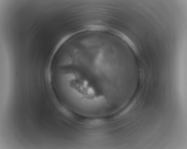 X0000114420891200910231204