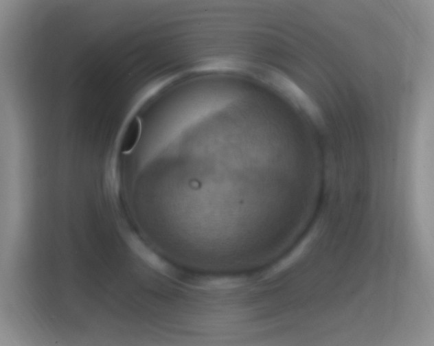 X0000114420892200910231204