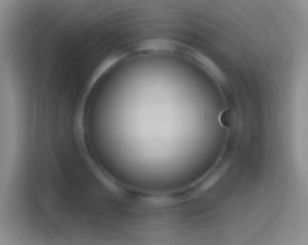 X0000114420893200910231204