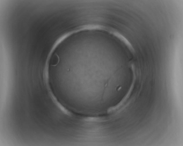 X0000114420894200910231204