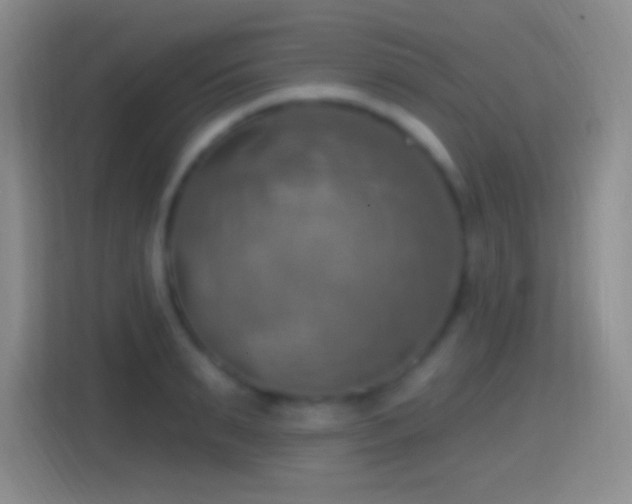 X0000114420895200910231204