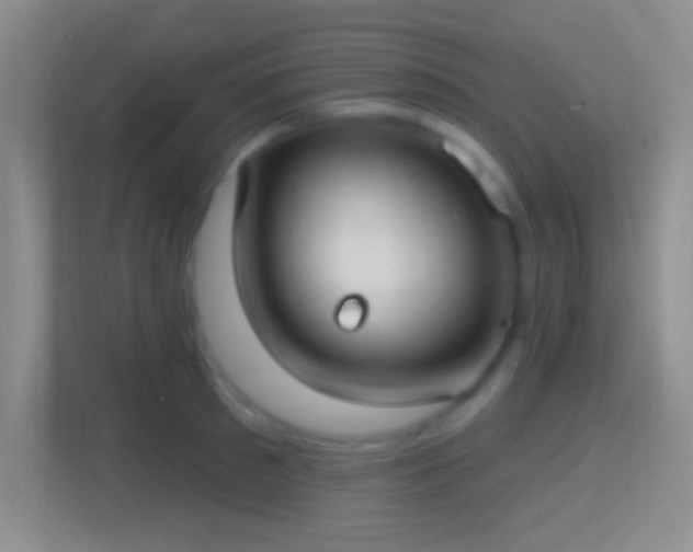 X0000114420897200910231204