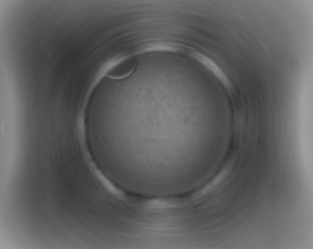 X0000114420898200910231204