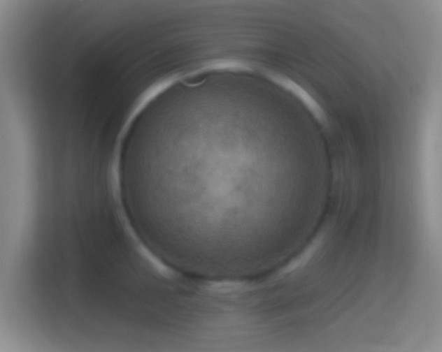 X0000114420902200910231204