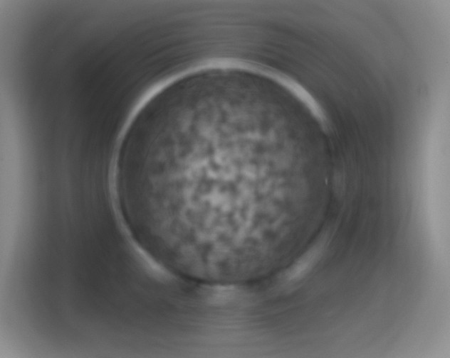 X0000114420903200910231204