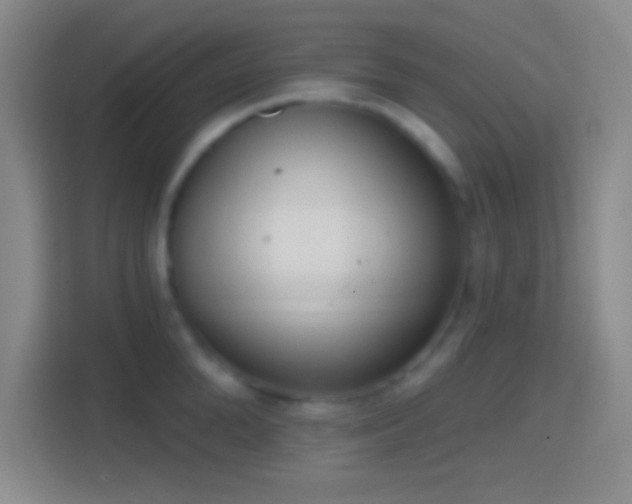 X0000114420904200910231204