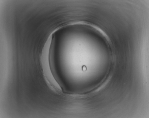 X0000114420905200910231204