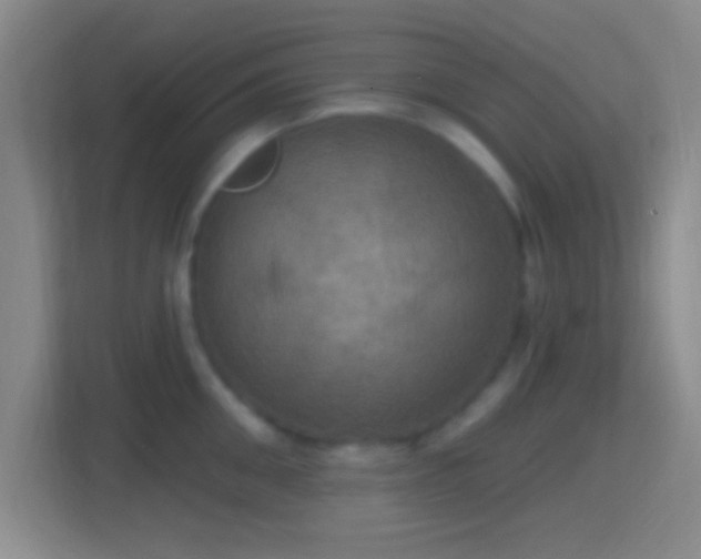 X0000114420906200910231204