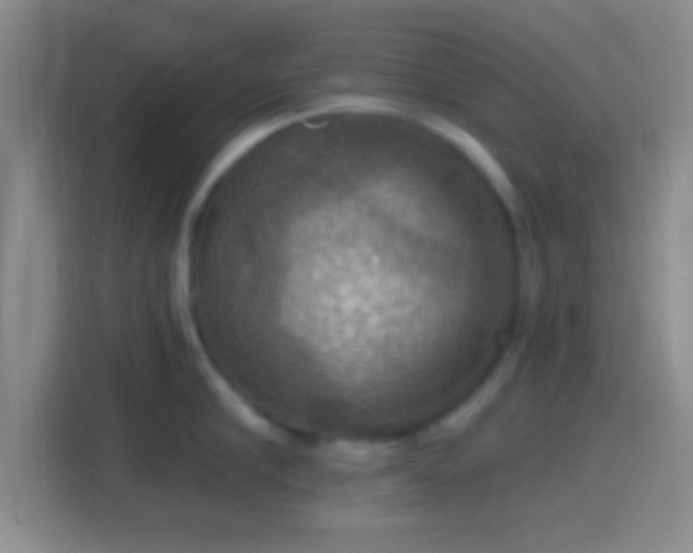 X0000114420910200910231204