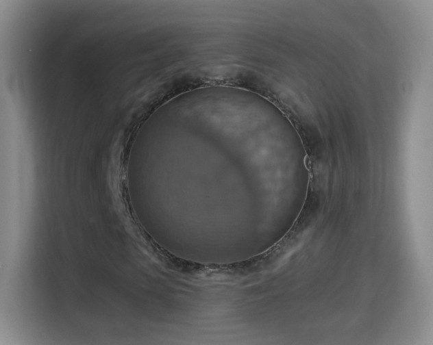 X0000114420913200910231203