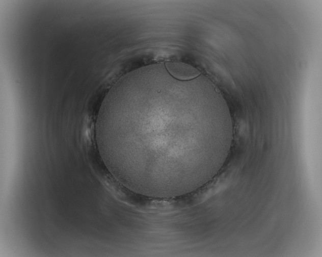 X0000114420914200910231203