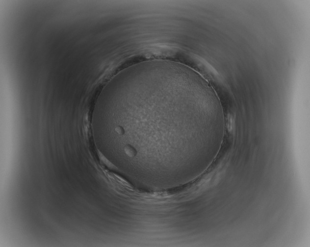 X0000114420915200910231203