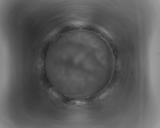 X0000114420917200910231203