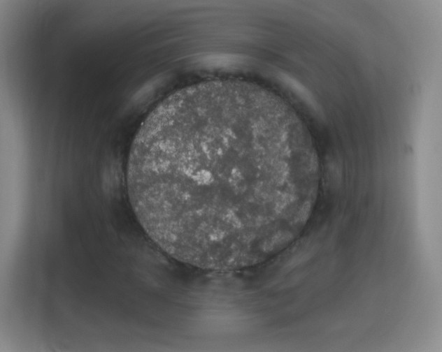 X0000114420918200910231203