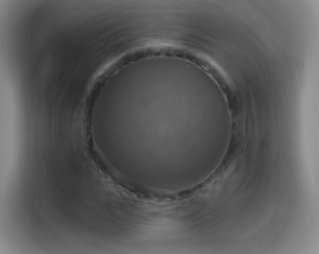 X0000114420919200910231203