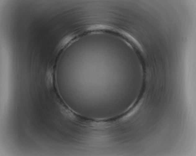X0000114420921200910231203