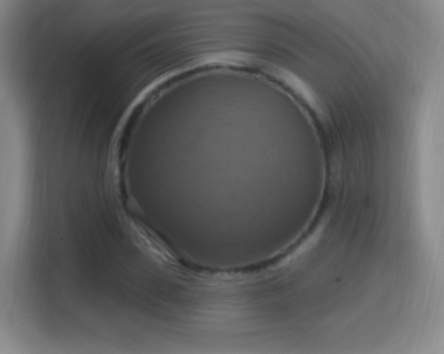 X0000114420923200910231203