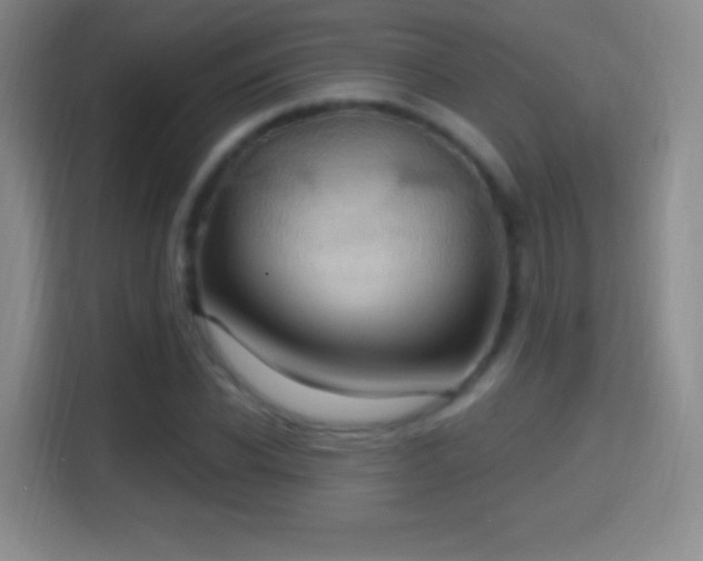 X0000114420926200910231203