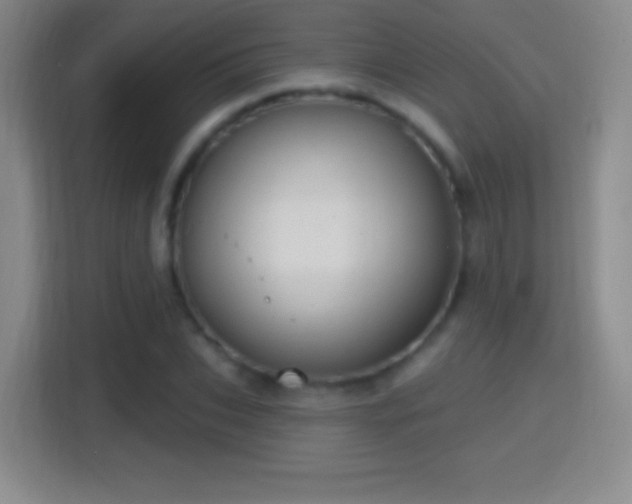 X0000114420927200910231203