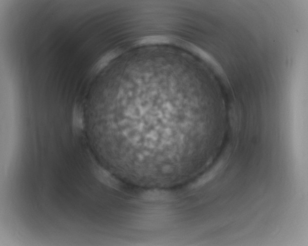X0000114420929200910231203