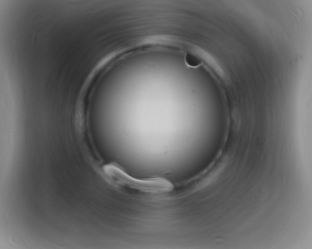 X0000114420931200910231203