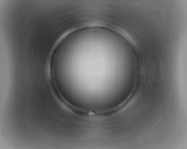 X0000114420934200910231203