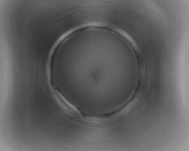 X0000114420935200910231203