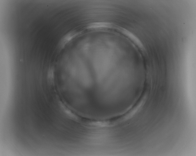 X0000114420937200910231203