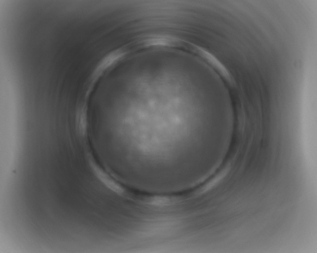 X0000114420938200910231203