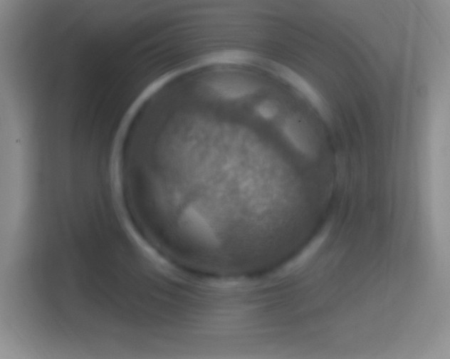 X0000114420939200910231203