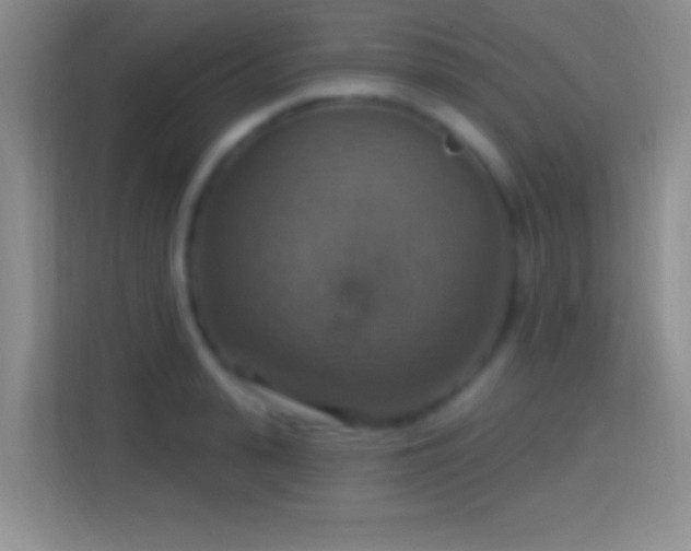 X0000114420943200910231203