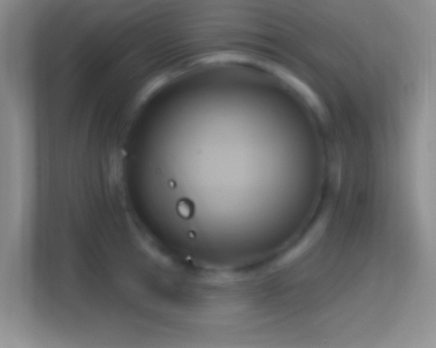 X0000114420945200910231203