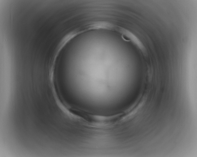 X0000114420946200910231203