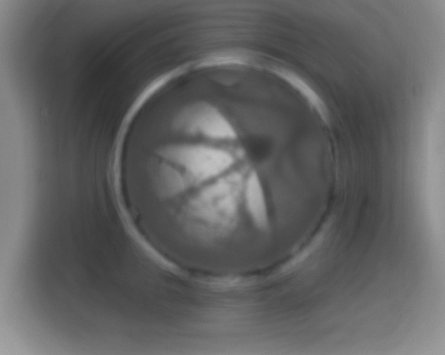 X0000114420949200910231203