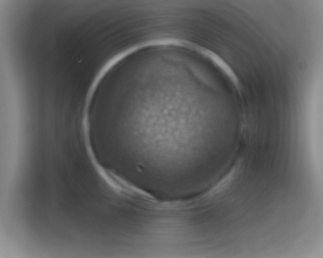 X0000114420951200910231203