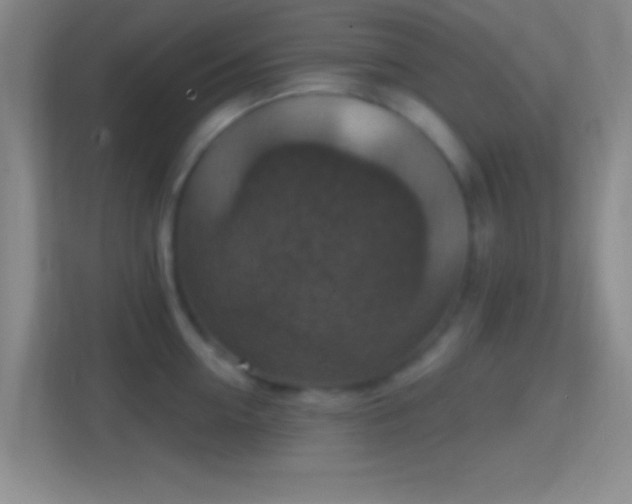 X0000114420954200910231203