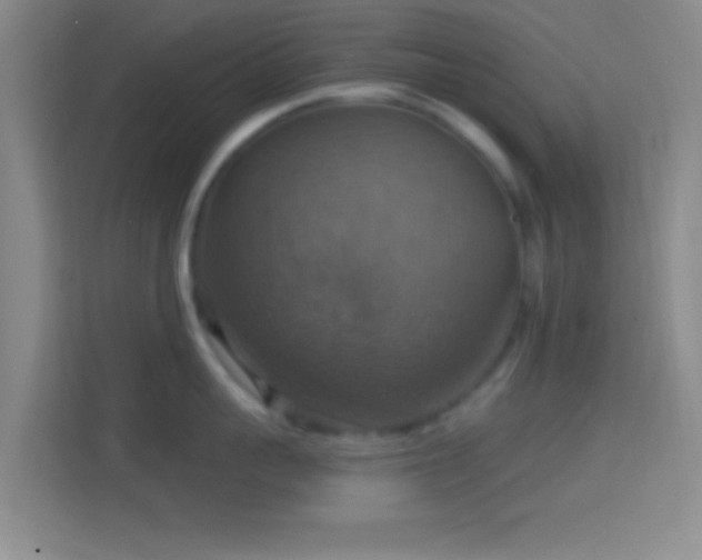 X0000114420959200910231204