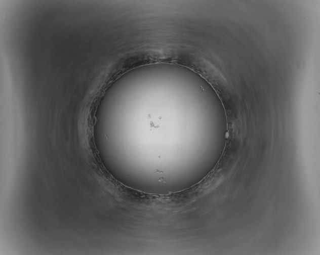 X0000114420961200910231203