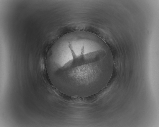 X0000114420962200910231203