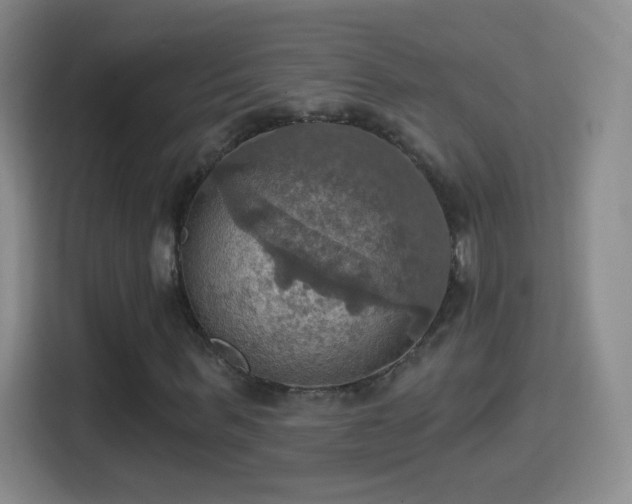 X0000114420963200910231203