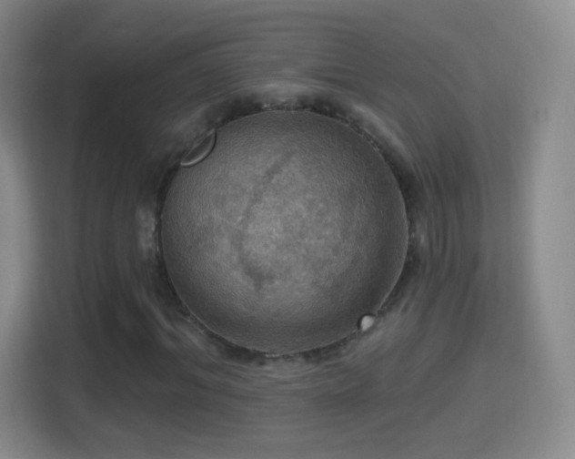 X0000114420964200910231203