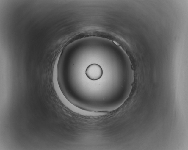 X0000114420965200910231203
