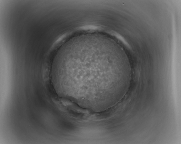 X0000114420967200910231203