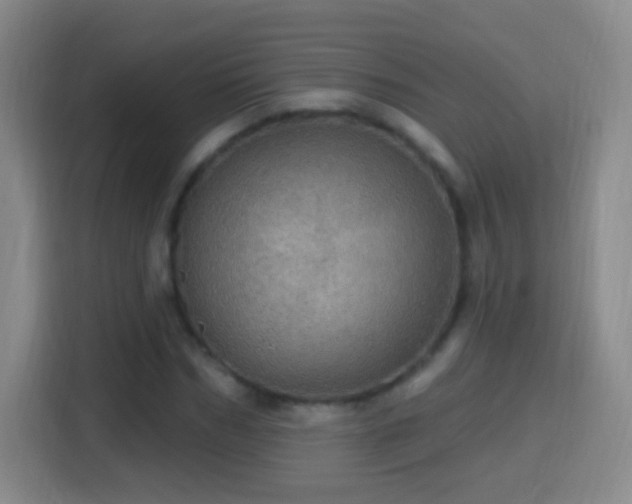 X0000114420970200910231203
